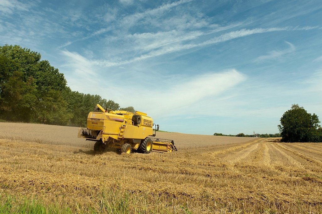 20110811_0017 1.jpg - Oogsttijd